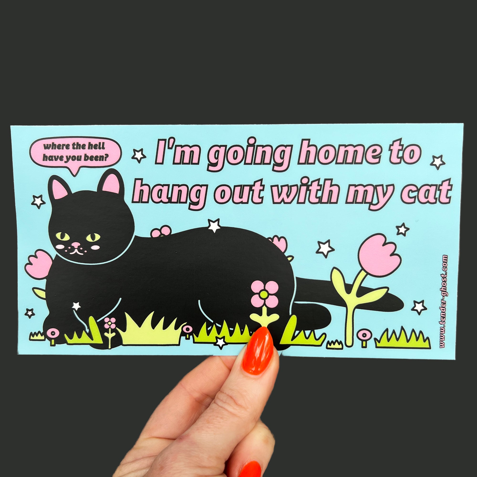 Going Home to Hang With My Cat Bumper Sticker