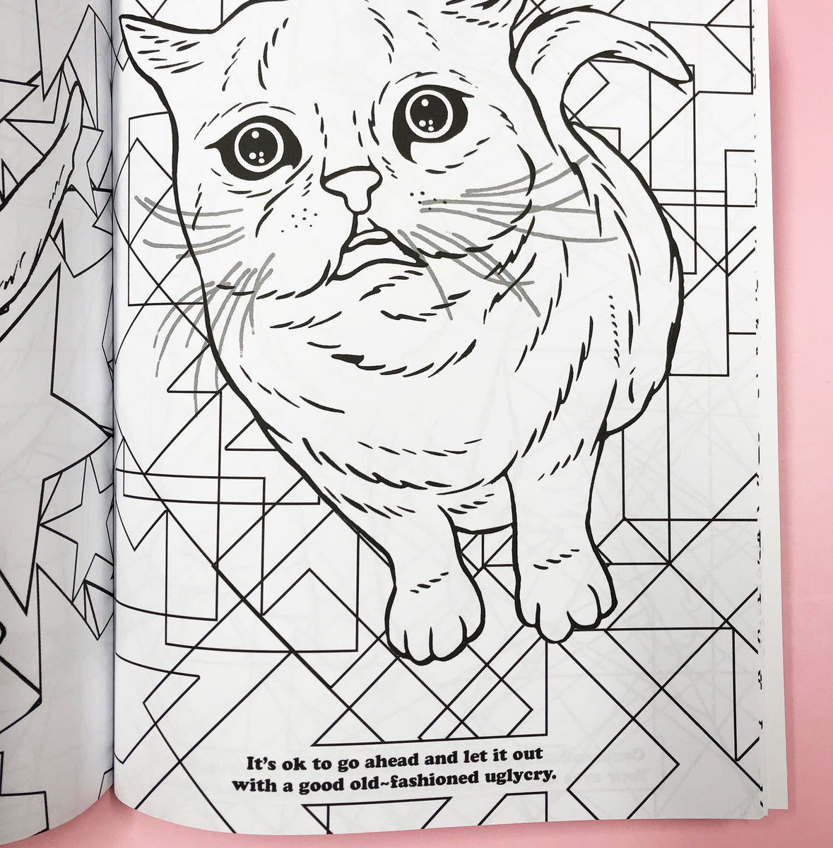 Depression Cats Coloring Book – Wokeface