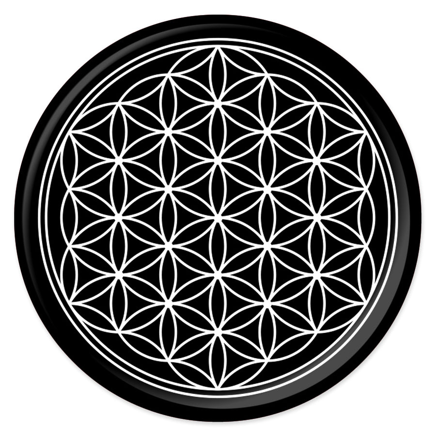 Pinback Button