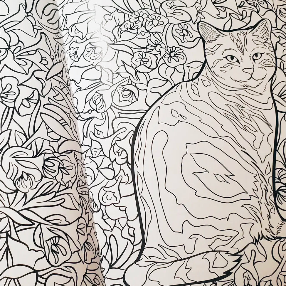 Cats & Plants Coloring Book