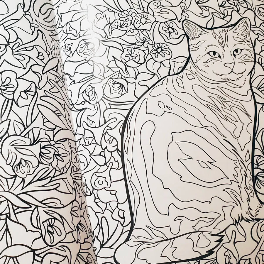 Plants & Cats Coloring Book