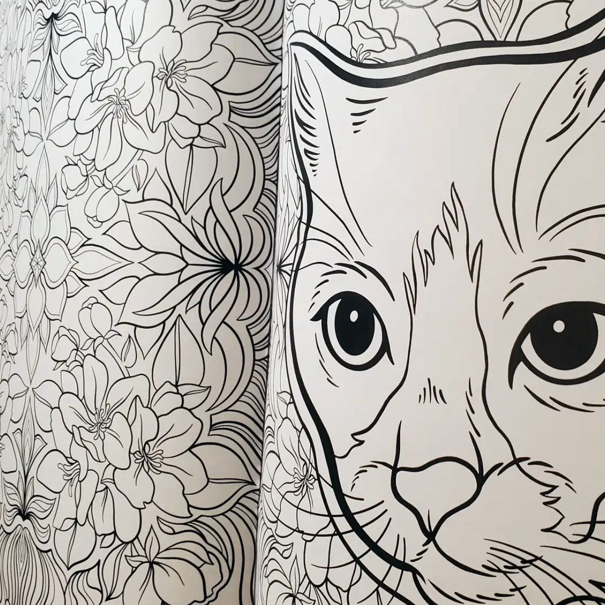 Cats & Plants Coloring Book