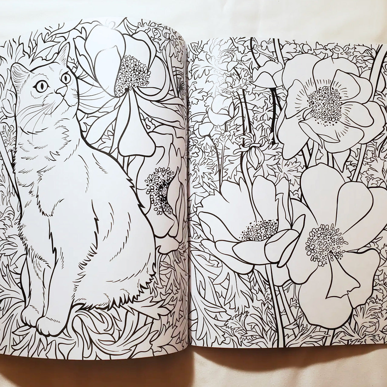 Cats & Plants Coloring Book