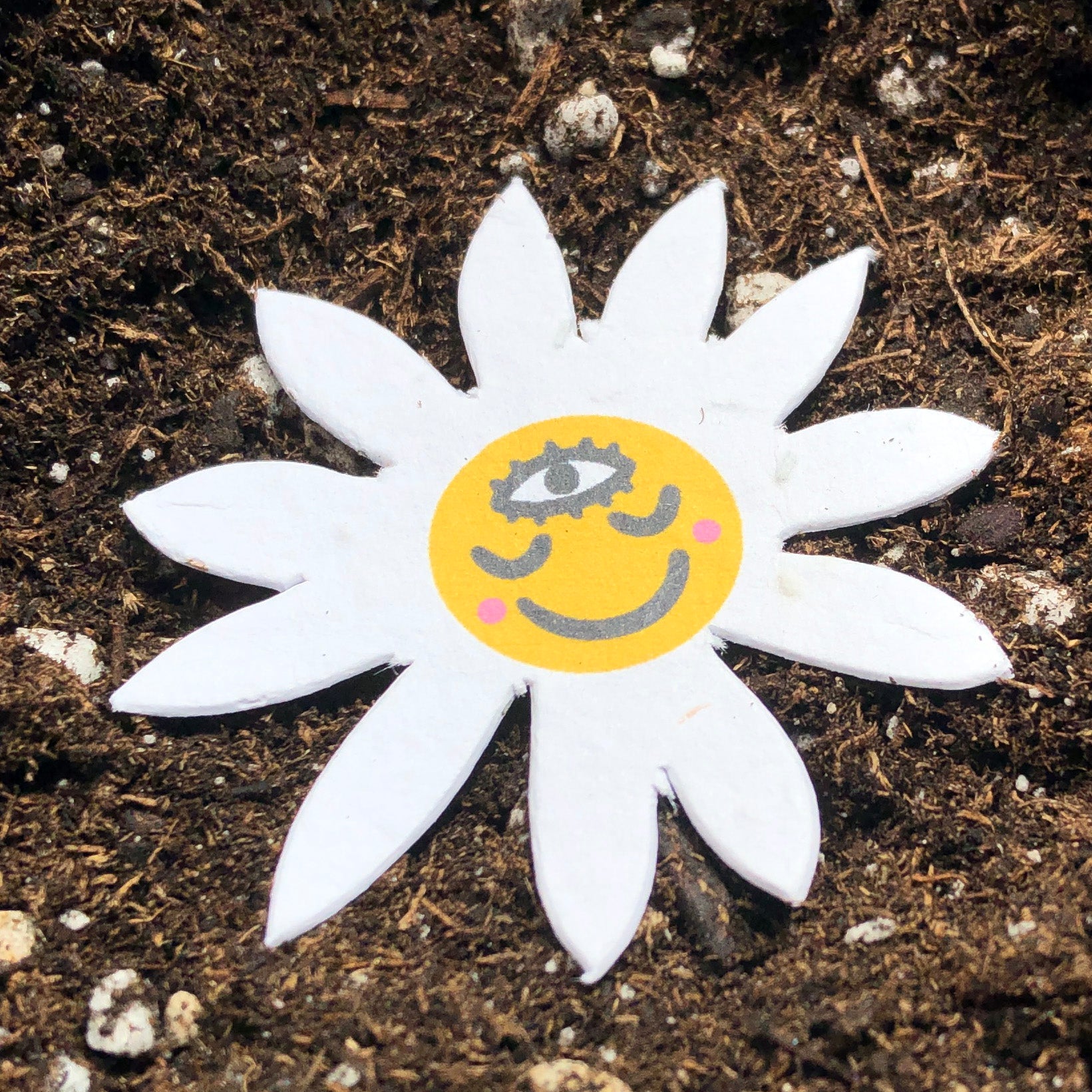 Seed Flower Card