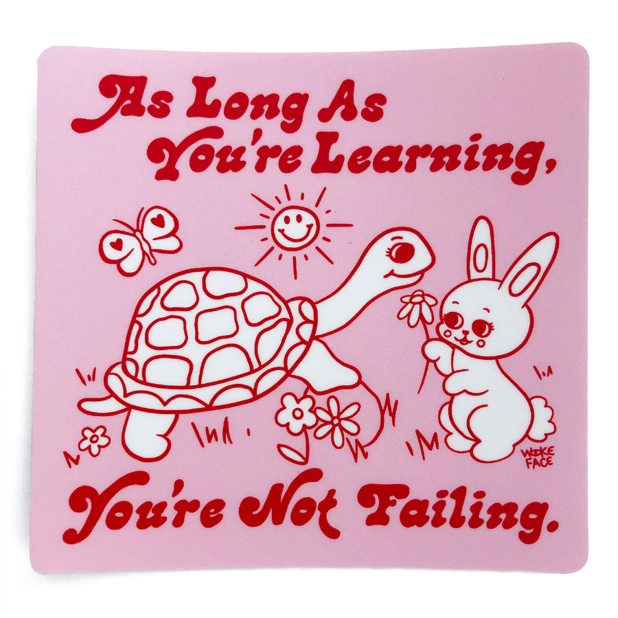 Learning Turtle Bunny Sticker